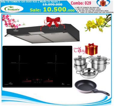 Bếp Từ Tomate GH DUO-S2I