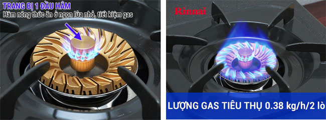 dau-dot-bep-gas-rinnai-rv-365gn